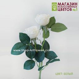 075 Роза двойная пионовидная - Без тм фото 2