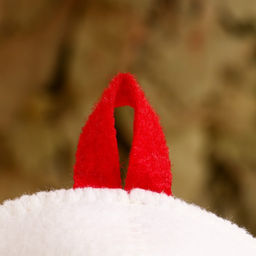 Шапка для бани и сауны «Занесён в Красную книгу», полиэстер, белая