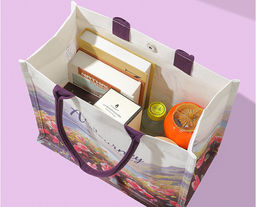 Сумка Rui-Mi-76-S