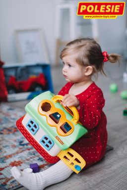 Сказочный домик (в сеточке) - Полесье фото 8