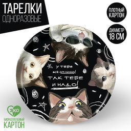 Цена за 10 шт. Тарелка бумажная Так тебе и надо, 18 см