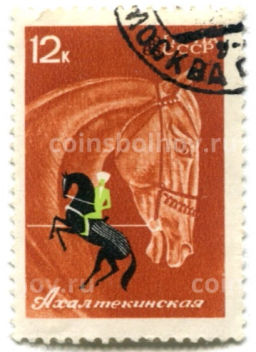 Марка Породы лошадей Ахалтекинская