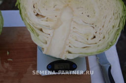 Капуста белокочанная среднепоздняя (для квашения) Фаворит - Партнер фото 7