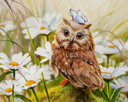 Картина по номерам на холсте и подрамнике 40х50 см