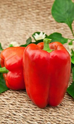 Перец СИБИРЯК F1 Высокоурожайный! Вынослив! Крупноплодный! Долго хранится!