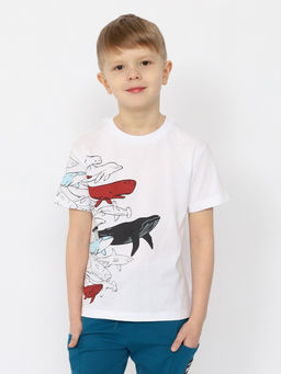 CRB wear/CSKB 63790-20-402 Футболка для мальчика,белый/Ex.Cherubino