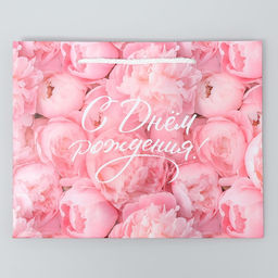 Цена за 2 шт. Пакет подарочный ламинированный, упаковка, «С Днём рождения!», MS 23 х 18 х 8 см