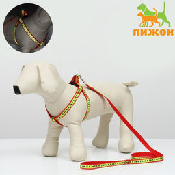 Комплект Косточки и лапки светоотражающий, поводок 120 х 1,5 см, ОГ 36-52 см, красный