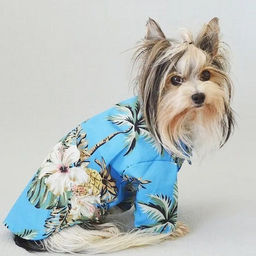 Рубашка для собак и кошек малых и средних пород "СТИЛЬНЫЙ БРО", принт пальмы, размер L