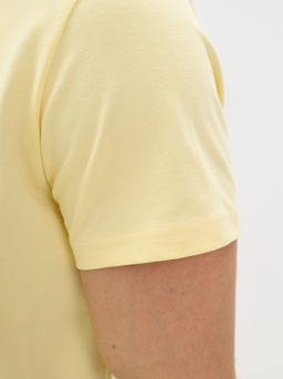 Футболка мужская короткий рукав GREG G145-PO4T-SA0048 (лимон)  фото 3