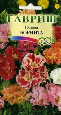 Годеция Борнита,смесь 0,05г (г)