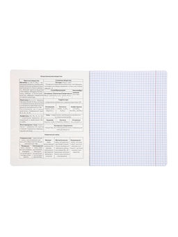 Комплект 12 предметных тетрадей 48 листов, справочная информация, 60 г, Пастель