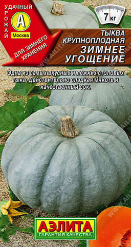 1001A Тыква крупноплодная Зимнее угощение 1гр