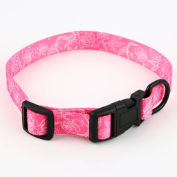 Ошейник My littlle princess, застёжка - фастекс, 2 см 25-40 см - Пушистое счастье фото 3
