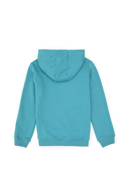 Erkek _ocuk Mint Basic Kap__onlu Sweatshirt - U.s. polo assn фото 2