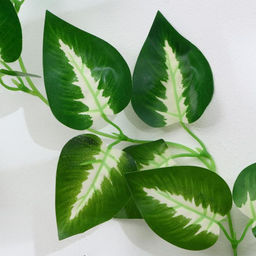 Лиана «Антуриум Андрэ», h=220 см