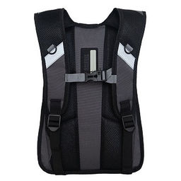 RB-450-3 Рюкзак школьный - Grizzly фото 29