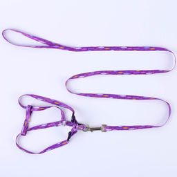 Комплект Рыбки, шлейка 24-36 см, поводок 120х1 см - Пушистое счастье фото 3