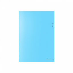 Цена за 12 шт. Папка-уголок пластиковая ErichKrause Diagonal Pastel, A4, непрозрачный, ассорти (в пакете по 12 шт.)  фото 6