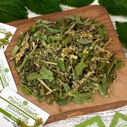 2 шт. Золотая розга (золотарник), (трава)