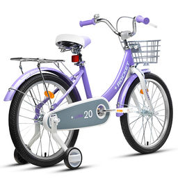 Велосипед 20" Rocket Luna, цвет сиреневый