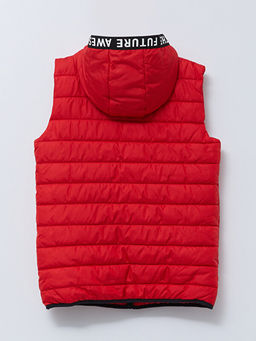 Kap??onlu Bask?l? Erkek ?ocuk ?i?me Yelek - Waikiki фото 2