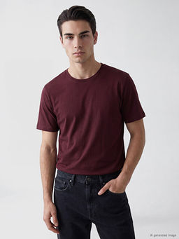 Regular Fit %100 Pamuk Erkek Ti??rt