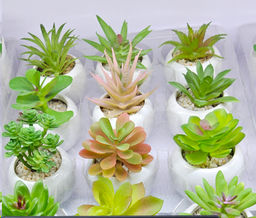 Цена за 1 шт. Цветочная композиция Кактус / FA2889 /уп 12/192/