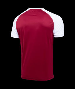 Футболка игровая JOGEL CAMP Reglan Jersey, гранатовый/белый