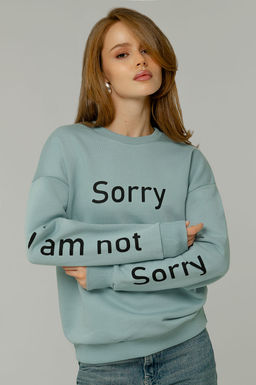 Арт. 15104 Свитшот женский 44-52 (5 шт) Цвет:мята