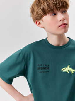 ACOOLA / Набор детский для мальчиков ((1)футболка и (2)шорты) Sulawesi_set изумрудный фото 5