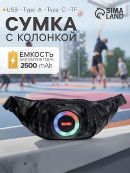 Портативная колонка - сумка LAB-85, 10 Вт, 2500 мАч, с подсветкой, поддержка карты памяти, чёрная
