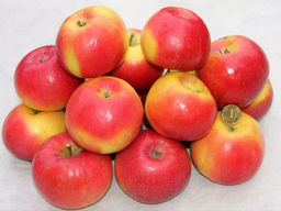 Яблоня Хани крисп