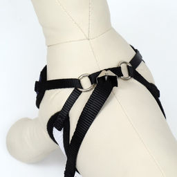 Комплект с мягкой шлейкой и бантиком Морской, размер S, поводок 120 x 1,5 см, ОГ 23-42 см 968377 - Пижон фото 4