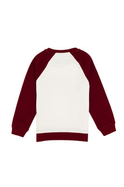 Erkek _ocuk Bordo Bisiklet Yaka Sweatshirt - U.s. polo assn фото 3