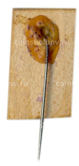 Значок Львов