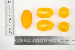 Томат Гейша - Партнер фото 8