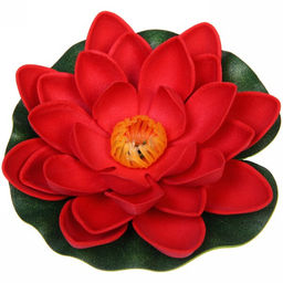 Цена за 5 шт. Растение водоплавающее "Кувшинка большая" d-10см красная