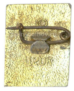 Значок А.С.Грин