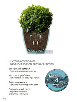 Горшок для цветов ДЕКО ТВИН 2.5л, Прозрачный (ДЕК 2,5 ПР) /Крассула/  фото 4