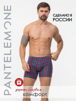 PMHL-1482 - Pantelemone фото 2