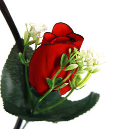 Сухоцвет набор 5 штук 120 см Роза / 1810-13 /уп 140/А - ГалеонТрейд фото 7