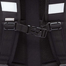 RAw-594-7 Рюкзак школьный - Grizzly фото 9