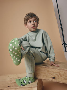 Цена за 2 пары Conte-kids Хлопковые носки TIP-TOP с рисунками салатовый