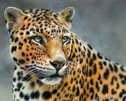 Алмазная мозаика на подрамнике 40х50