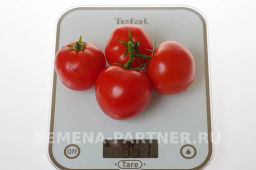 Томат Софа - Партнер фото 6