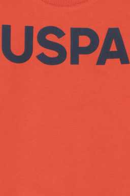 U. S. Polo Assn / Красный базовый свитшот для мальчика - U.s. polo assn фото 3