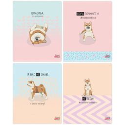 Тетрадь 48л. BG "Пора поумнеть" линия (Т5ск48_лм 10013) матовая ламинация