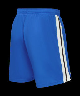 Шорты баскетбольные JOGEL DIVISION PerFormDRY Shorts Z2, синий  фото 3