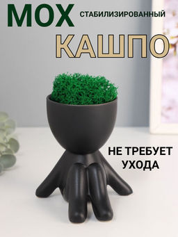 Стабилизированный мох в кашпо из керамики Мистер Грин на чиле, 109.512 см, чёрный